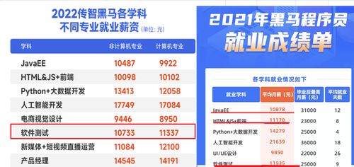 軟件開發與軟件測試 如何選擇適合你的網絡技術服務職業道路？